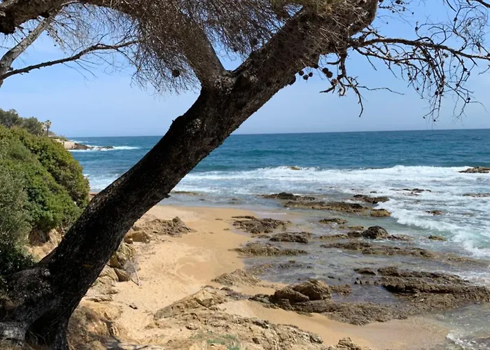 Avec Coin Nuit * Sainte-Maxime