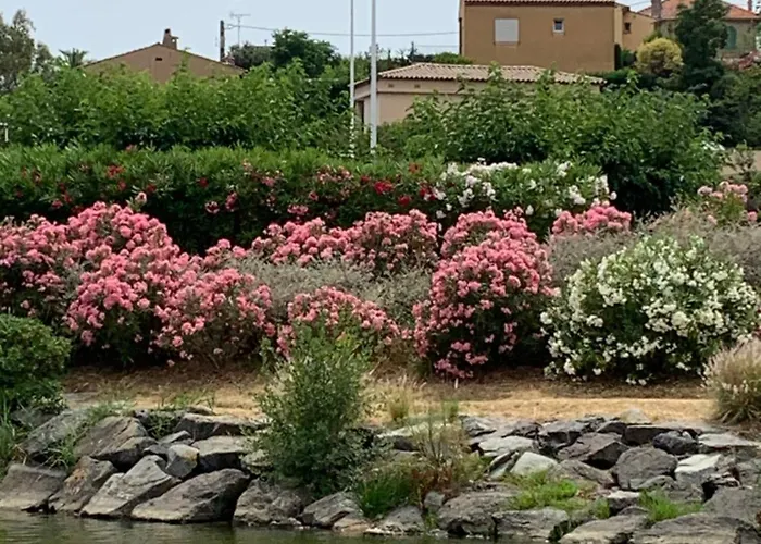 Apartment Avec Coin Nuit *